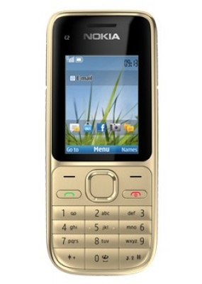 NOKIA C2-01 Warm silver